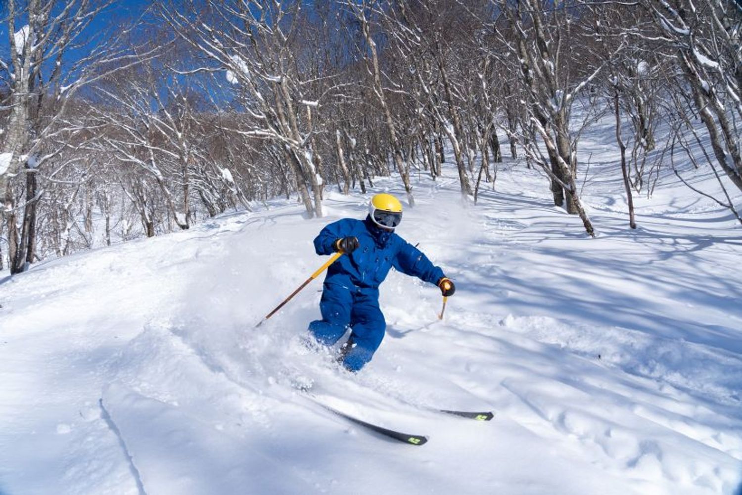 2025～26年シーズンにオープンしたツリーラン。磐梯朝日国立公園内に位置しているスノーリゾートなので、大音量の音楽を控えるなど、自然環境への配慮を徹底。静寂に包まれた雪山本来の美しさを体感できる。