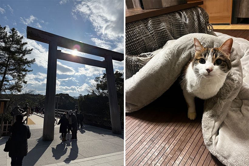 「お伊勢さんに初めてのお参り。2026年が“うま”くいきますように」と、村雨さんから小粋な言葉遊びが届きました。メちゃんも最終回のご挨拶に登場。