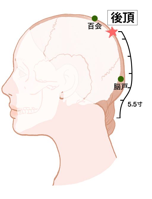 後頂（ごちょう）：督脈のツボ