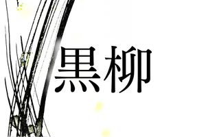 名字「黒柳」の由来は？実は別の字から生まれました