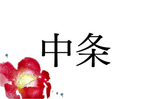 名字「中条」の由来。なぜこの姓を名乗る公家はいなかった？
