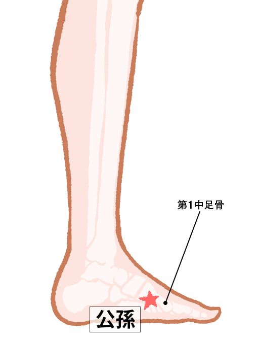 公孫（こうそん）：脾経のツボ