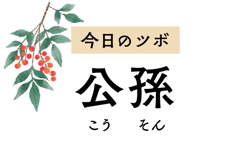 胃腸の調子を整える「公孫」。胃痛や消化不良のほか「常に眠気がある」状態にも用います