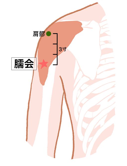 臑会（じゅえ）：三焦経のツボ