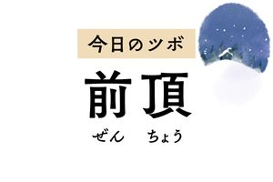 「前頂」のツボは体内の熱によって起こるめまい、鼻水、鼻づまり、目の痛みを軽減します