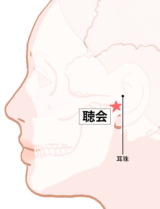 聴会（ちょうえ）：胆経のツボ