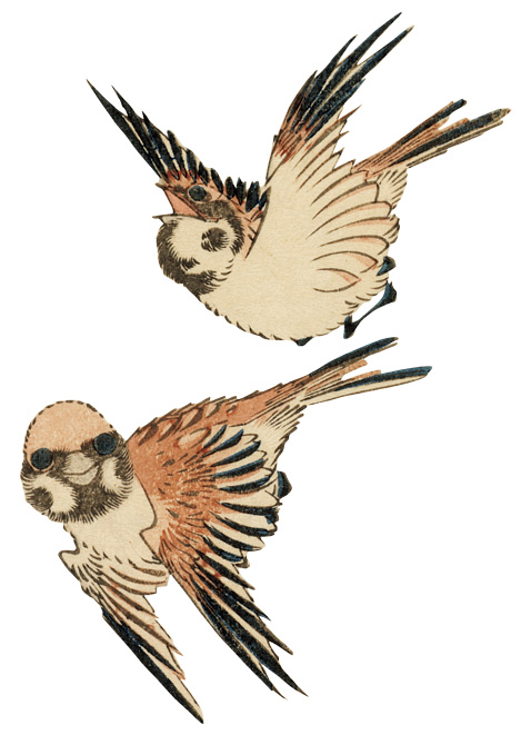 花鳥版画に魅せられたアビー・ロックフェラー【特集・ロックフェラー