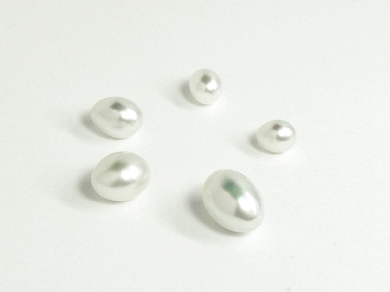 調色も染色も施されていない生まれたままの白 蝶真珠。