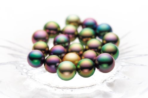 ［清美堂真珠］清らかに美しく90年　真珠の物語　　