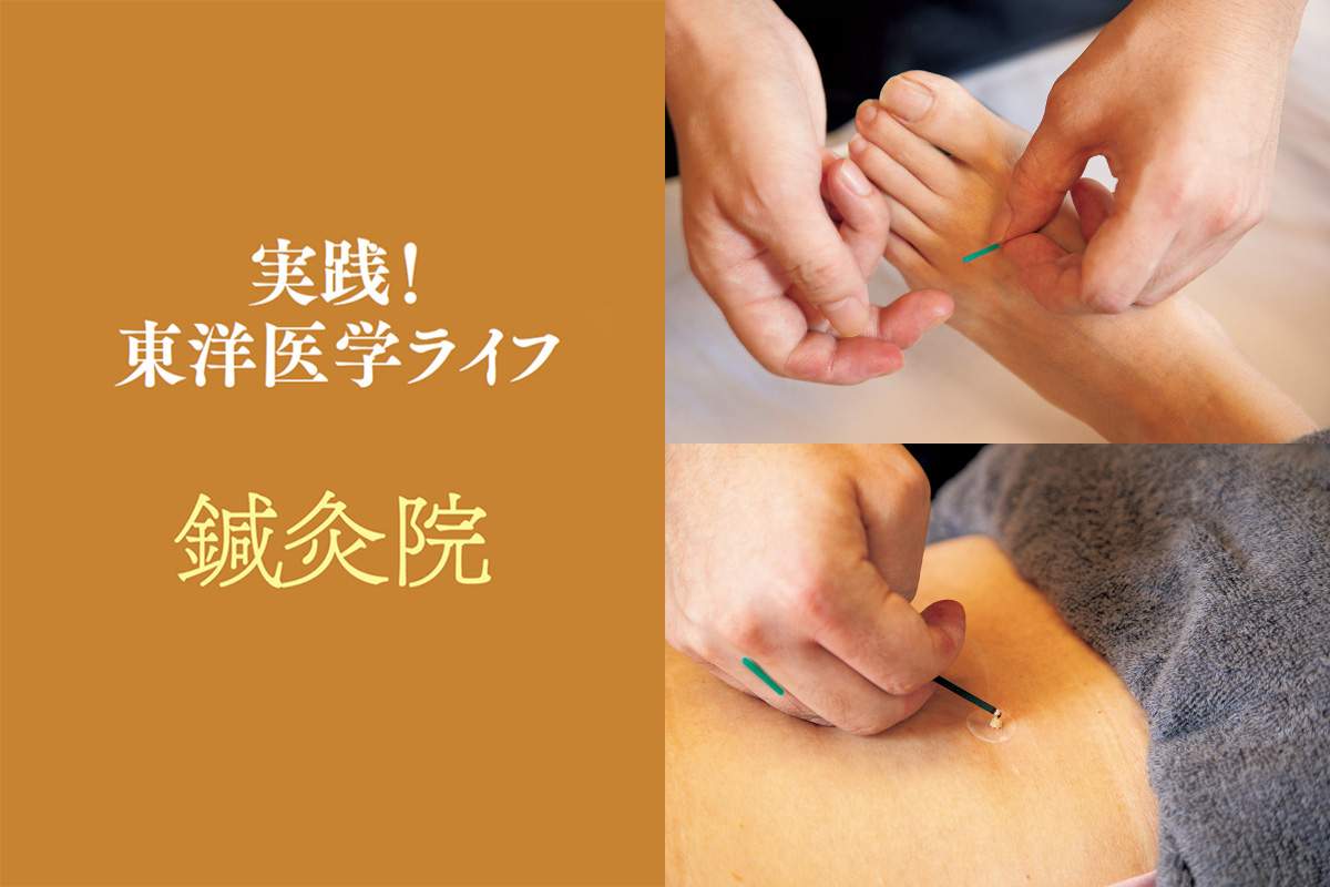 鍼灸院の治療を体験。東洋医学独自の診察法や実際の治療法を詳しく見せ
