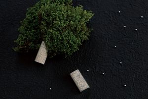 【Masayo’s Style】料理家・三枝政代さんが綴る「 暮らしの遊び心」2月～銀の趣～