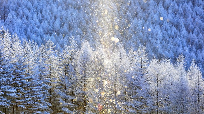 写真／フォトライブラリー