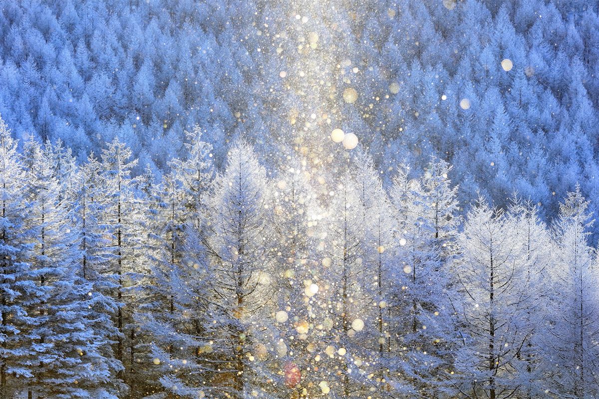 “天使のささやき”を聞く──ダイヤモンドダストはどんな条件が揃うと発生しやすい？