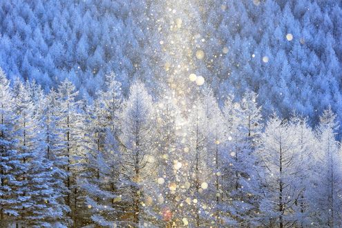 “天使のささやき”を聞く──ダイヤモンドダストはどんな条件が揃うと発生しやすい？