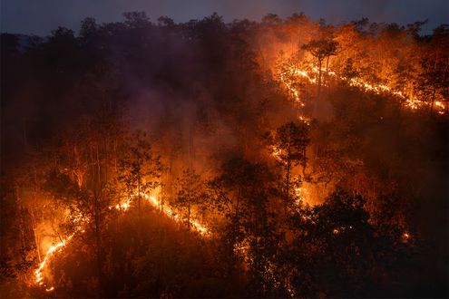 冬は山火事に注意！ たき火や火入れなどのほかに指摘される、意外な発生要因とは？