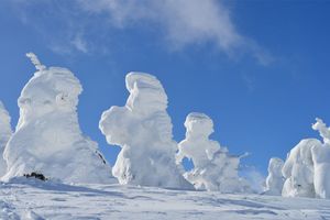 巨大な「スノーモンスター」はどうしてできる？ 観察にはここがおすすめ
