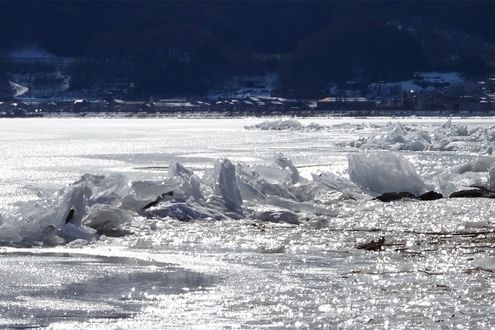 冬の諏訪湖で見られる氷の山脈「御神渡り（おみわたり）」。近年は珍しい現象に