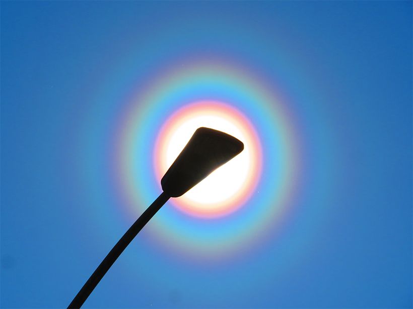 写真／荒木健太郎