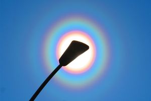 花粉が舞う時期によく見られる虹色の輪、「花粉光環」とは？