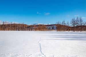 たくさんある雪の呼び名。大伴家持の和歌に登場する「友待つ雪」とはどんな言葉？