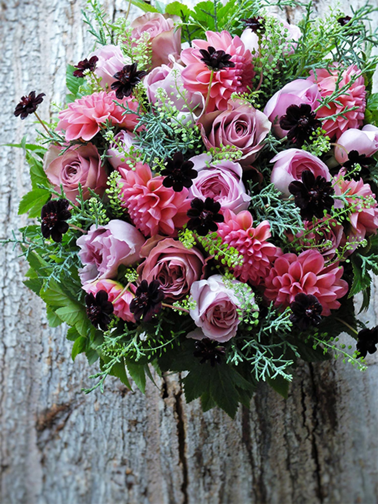 大阪から神戸へ、近くに住んでいてもなかなか会えないお友達にフラワーバレンタインの贈り花です。バラの‘アヴニール＋’と‘ショコラロマンティカ’、ダリア‘フェスタローズ’とニュアンスの異なるピンクに、チョコレートコスモスを散らしたアレンジです。タラスピオファリムやキイチゴ‘ベビーハンズ’、コニファー‘ブルーアイス’など、あしらいのリーフも色合いや葉形を変え、アレンジの表情をより豊かにしてみました。