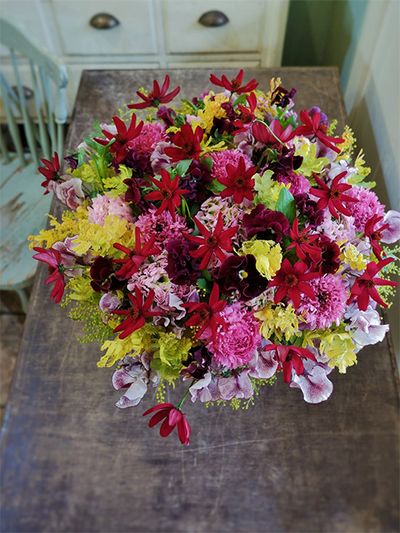 お世話になっているご家族へ、フラワーバレンタインの贈り花を。濃淡ピンクや金葉アカシアの黄色の上に、鮮やかな赤のチョコレートコスモス‘ノエルレッド’を載せたアレンジです。‘ノエルレッド’は花が大きいのですが、コスモスらしい軽やかな花姿で、多めに加えても重たい印象になりません。ラナンキュラスの‘ポンポン ハーマイオニー’と‘リナ ラムリア’、パンジー‘ジュエリー’、スイートピー‘シャーリップル’、金葉アカシア‘ツトム’などを使用。