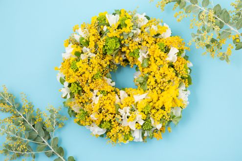 春の訪れをひと足先に。ミモザが彩るフラワーリースで色合わせと香りを楽しむ