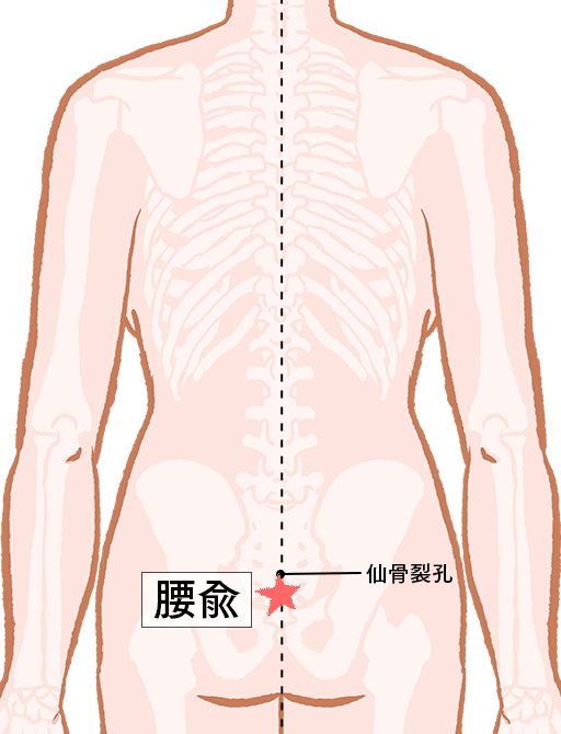腰兪（ようゆ）：督脈のツボ