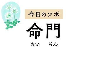 エネルギーを補い生命力を高めるツボ「命門」。月経痛や夜間頻尿、下痢の悩みに