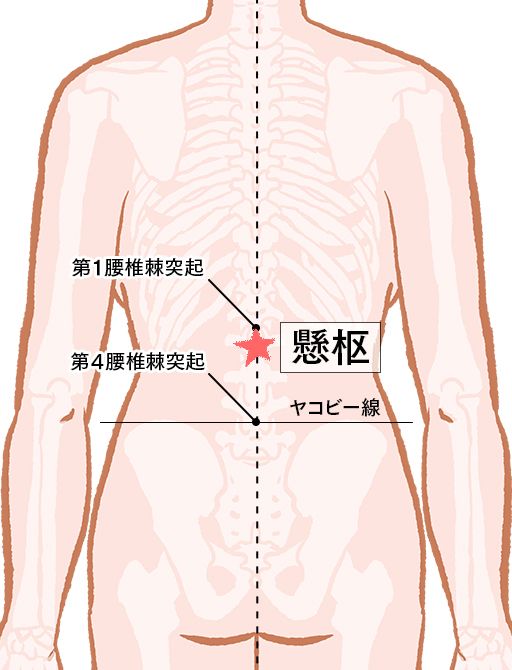 懸枢（けんすう）：督脈のツボ