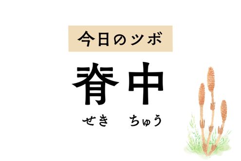 「脊中」は消化不良で起こる腹部の膨満感や下痢をおさえ、腰や背中の痛みもゆるめます