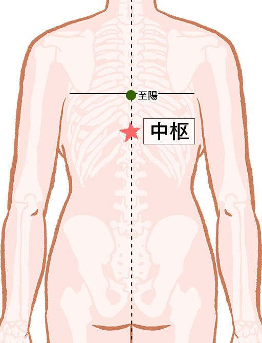 中枢（ちゅうすう）：督脈のツボ