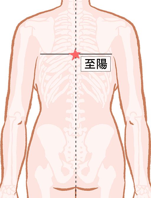 至陽（しよう）：督脈のツボ