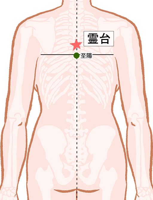霊台（れいだい）：督脈のツボ