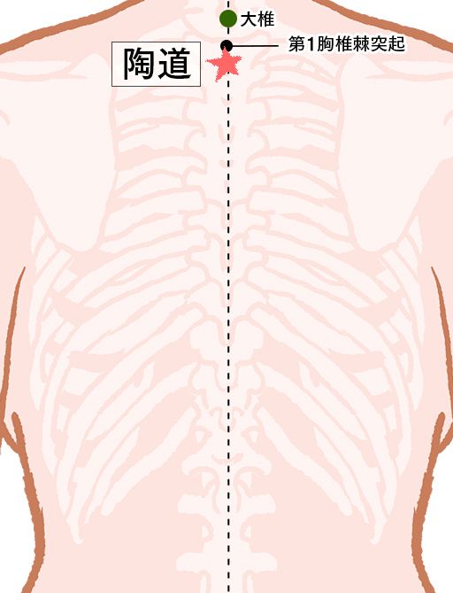 陶道（とうどう）：督脈のツボ