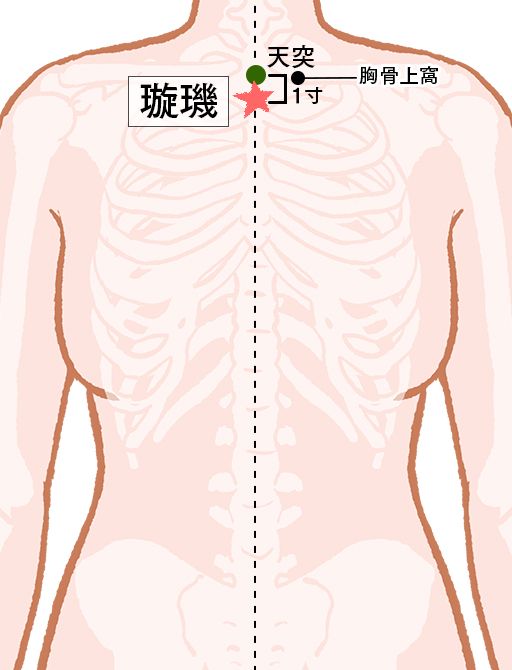 璇璣（せんき）：任脈のツボ