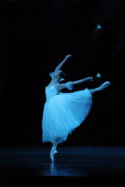 『ジゼル』第２幕より。長きにわたりペアを組んできたアルブレヒト役の柄本弾さんとの息の合ったパートナリングに注目。東京バレエ団の真骨頂ともいえる、一糸乱れぬコール・ド・バレエも見どころのひとつ。