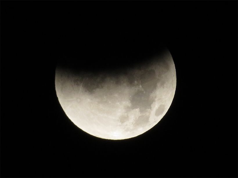 写真／荒木健太郎