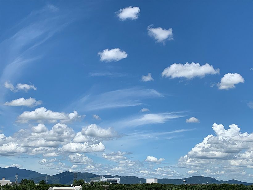 写真／荒木健太郎