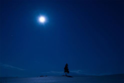卒業式の定番曲、「蛍の光」の歌詞にも登場する「蛍雪」とは？