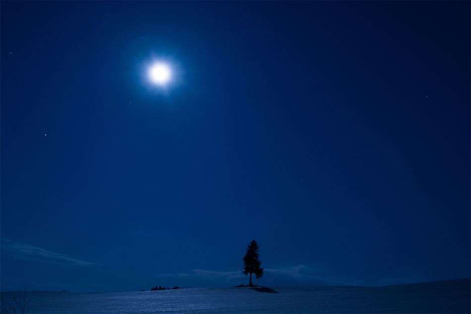 卒業式の定番曲、「蛍の光」の歌詞にも登場する「蛍雪」とは？