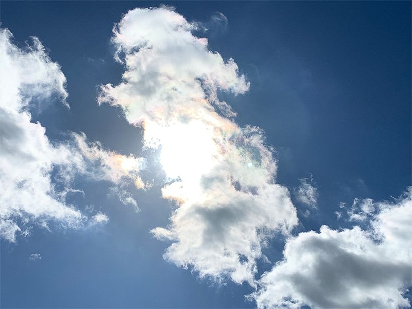 写真／荒木健太郎