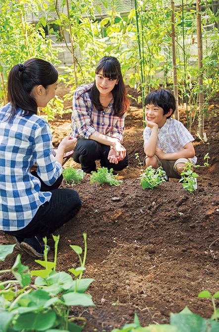 （15）平成26年8月7日　お姉さまがたとご一緒に宮邸の野菜畑で栽培に勤しまれる悠仁さま。トマトやなす、きゅうり、とうもろこし、ハーブなどを収穫された。