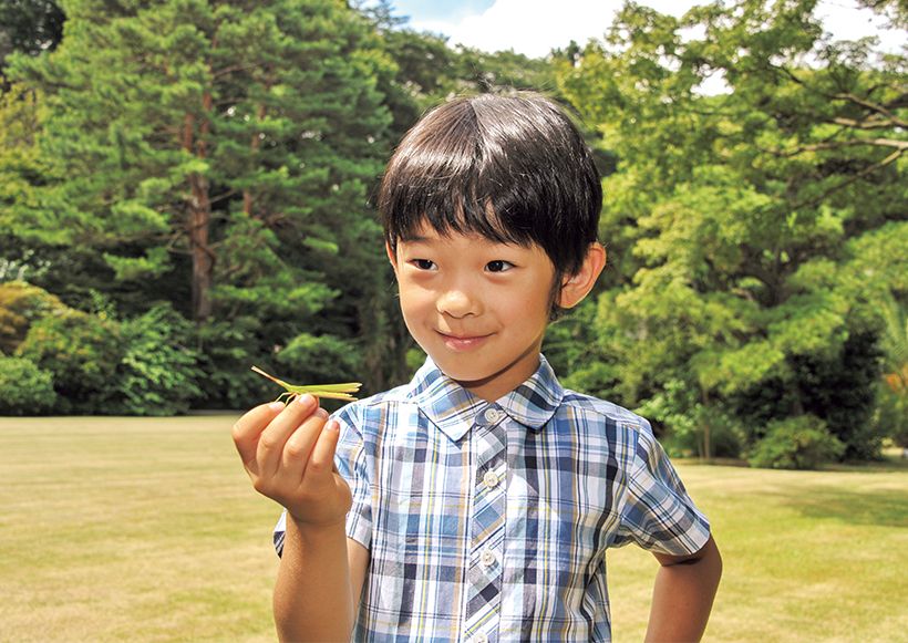 （13）赤坂御用地にてバッタを捕らえられた悠仁さま。夏は毎週のように秋篠宮皇嗣妃殿下と皇居へも出向かれて、ときには上皇陛下も交えて虫探しをなされたという。（平成24年8月4日）