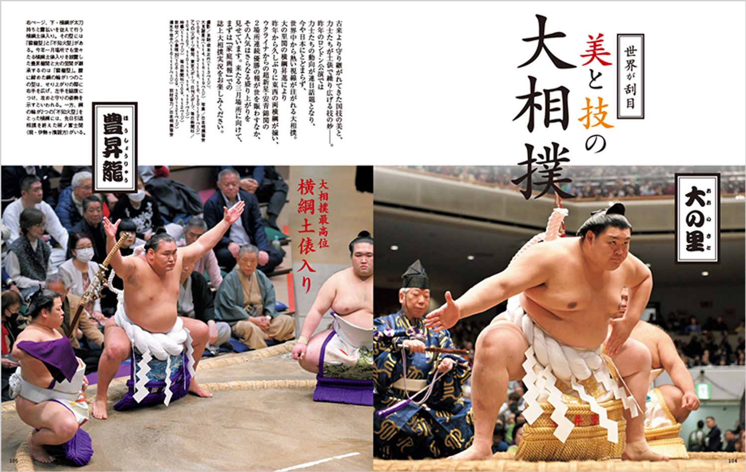 美と技の大相撲