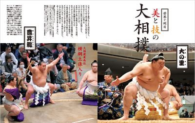 美と技の大相撲