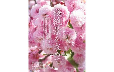 次世代に伝え継ぎたい 桜絶景を求めて