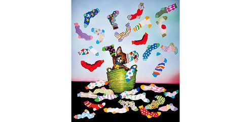 藤城清治さんの作品「気ままなアビーの靴下えらび」とエッセイ【家庭画報3月号特別付録】