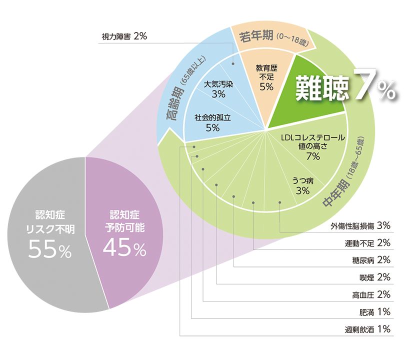 上の図は、世界的に有名な医学雑 誌『ランセット』の発表をもとに、 認知症を引き起こす可能性のある 予防可能な14の危険因子をまと めたもの。難聴は7㌫と、最も影 響力の大きな危険因子であると指 摘されていることに注目を。（出典）2024年7月31日付『ランセット』誌 常任委員会による「認知症予防、介入、ケア： 2024年報告書」より改編、作図