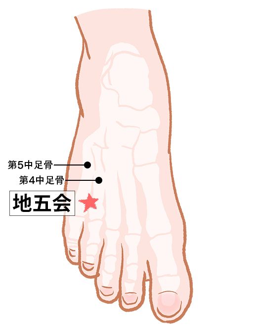 地五会（ちごえ）：胆経のツボ